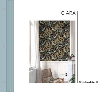 ISSUU CIARA