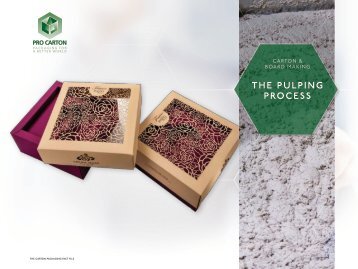 Pro Carton Fact File – Module 4 – The Pulping Process
