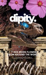 Dipity Literary Magazine Issue #2 (Jurassic Ink Rerun) - Winter 2022 - Digital Edition