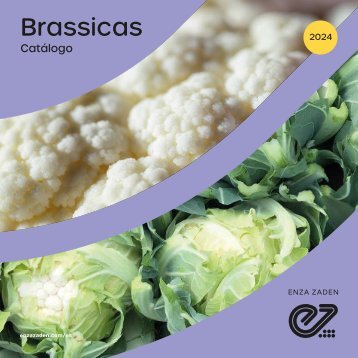 Catálogo Brassicas 2025