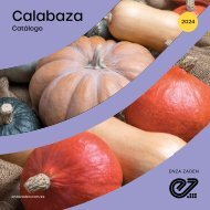 Catálogo Calabaza 2024