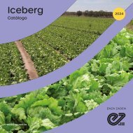 Catálogo Iceberg 2024