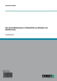 Das Gesundheitswesen in Westafrika am Beispiel von Burkina Faso