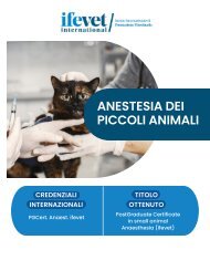 ITALIA- formazione universitaria post laurea in Anestesia