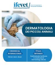 ITALIA- formazione universitaria post laurea in Dermatologia