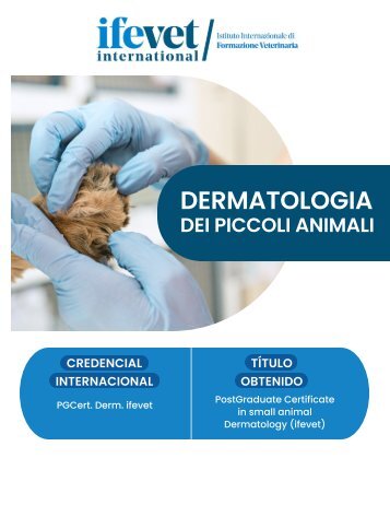 ITALIA- formazione universitaria post laurea in Dermatologia