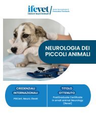 ITALIA- formazione universitaria post laurea in Neurologia
