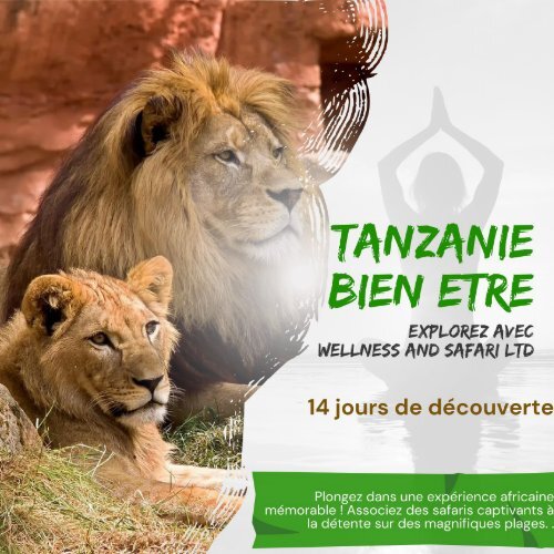 Safari et Retraite Santé en Tanzanie