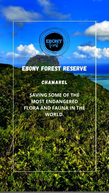 Ebony Forest Taxi Booklet English