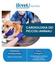 ITALIA- formazione universitaria post laurea in Cardiologia