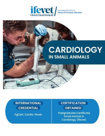 ITALIA- formazione universitaria post laurea in Cardiologia