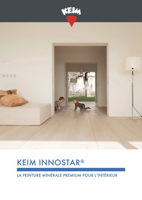 KEIM Innostar FR