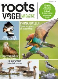 Roots Vogelmagazine voorjaar 2024 - Inkijkexemplaar