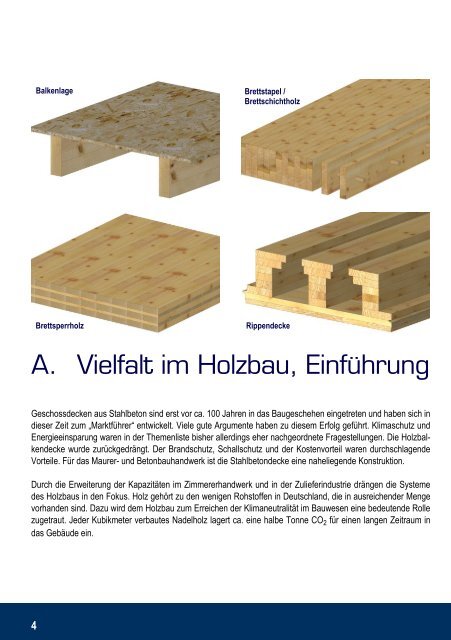 Profiwissen Geschossdecken im Holzbau - Raiss