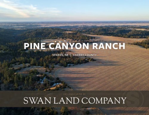Pine Canyon Ranch 2-7-2024