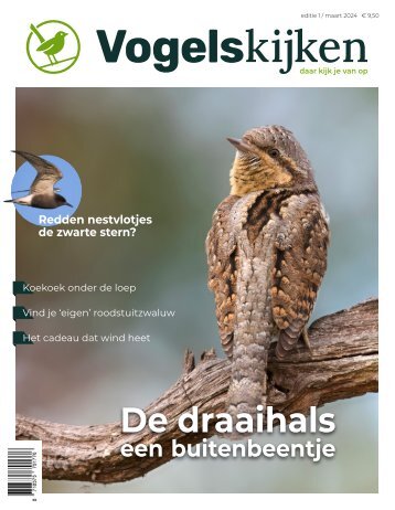 Vogelskijken Magazine inkijkexemplaar editie 1