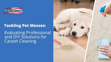 Tackling Pet Messes: Evaluating Professional and DIY Solutions for Carpet Cleaning