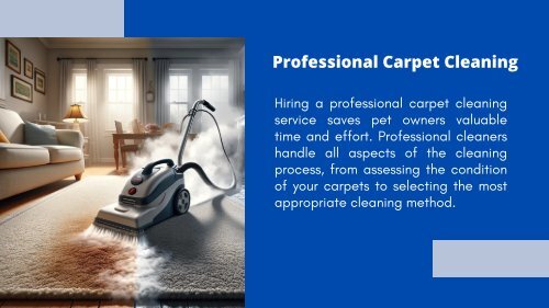 Tackling Pet Messes: Evaluating Professional and DIY Solutions for Carpet Cleaning