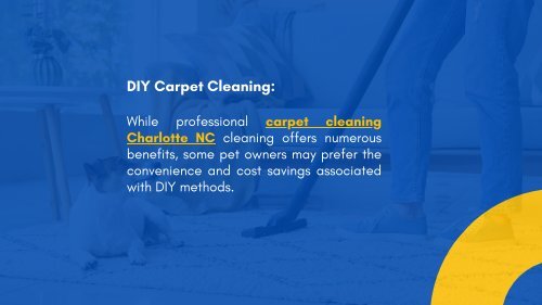 Tackling Pet Messes: Evaluating Professional and DIY Solutions for Carpet Cleaning