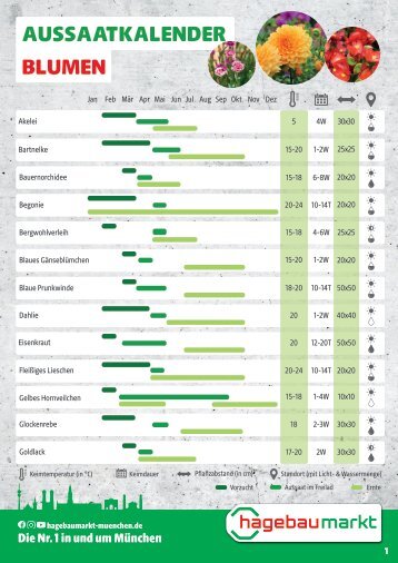 Aussaatkalender Blumen