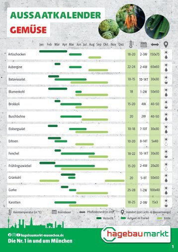Aussaatkalender Gemüse
