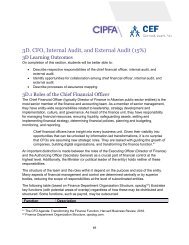 CEF Visual Identity Guidelines