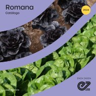 Catálogo Romana 2024