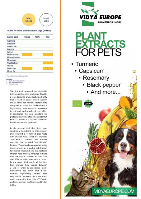 PetFood PRO 1/2024