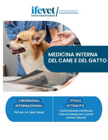 ITALIA- formazione universitaria post laurea in Medicina Interna