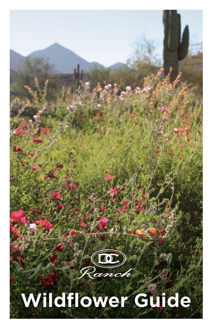 Wildflower Guide 