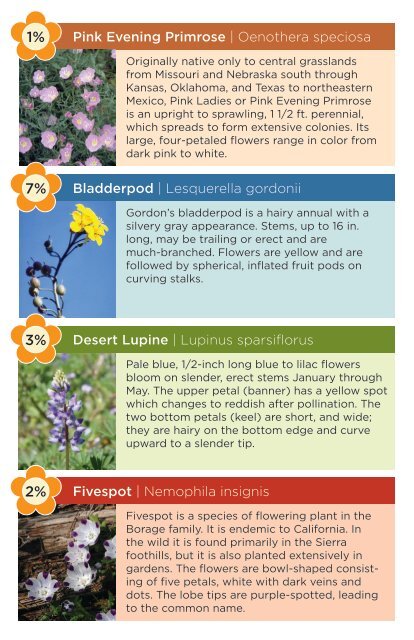 Wildflower Guide 