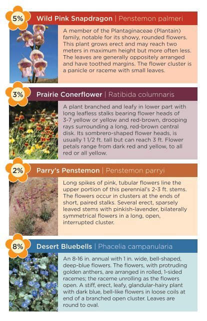 Wildflower Guide 