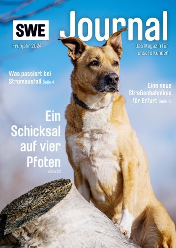 Ausgabe 01_2024