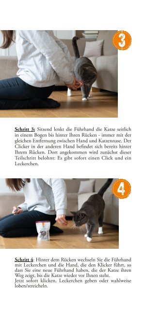 defu Broschüre - Clicker-Training Katze