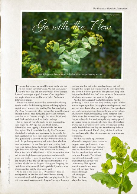 Wealden Times | WT263 | April 2024 | Garden Supplement inside