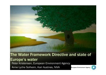 The Water Framework Directive and state of Europe's water - WISER