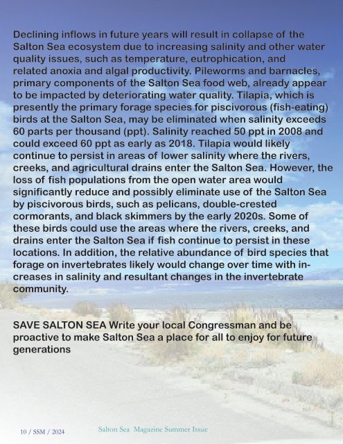 Salton Sea Magazine Premier Issue Spring 2024