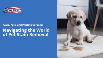 Navigating the World of Pet Stain Removal