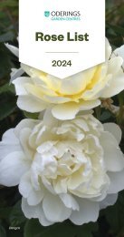Rose catalogue 2024
