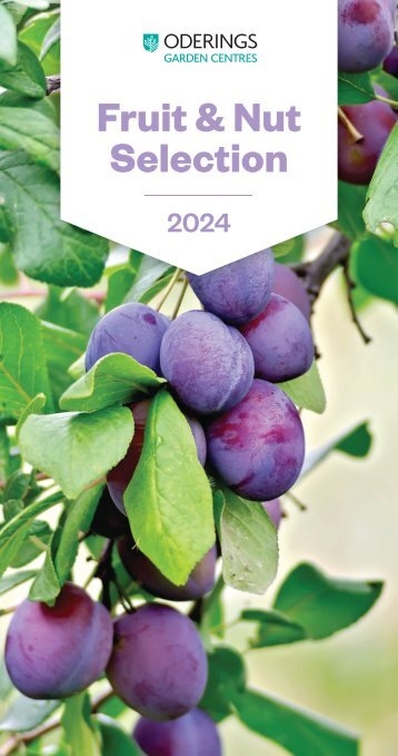 Fruit & Nut Selection 2024