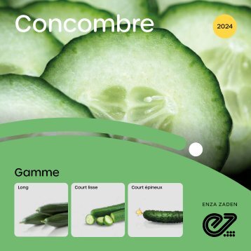 2024 CONCOMBRE