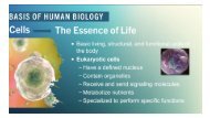 Die menschliche Biologie und Funktion unserer Zellen - der Gesundheits Beitrag des legendären Triangel of Wellness - Gesundheits Dreieck - Nitric Oxide und seine Bedeutung für unser Überleben.
