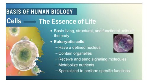 Die menschliche Biologie und Funktion unserer Zellen - der Gesundheits Beitrag des legendären Triangel of Wellness - Gesundheits Dreieck - Nitric Oxide und seine Bedeutung für unser Überleben.