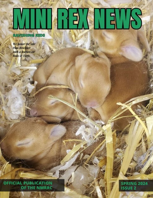 2024 Spring Newsletter