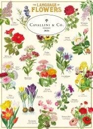 Cavallini Full Catalog - 2024 
