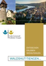 Bürger- und Imagebroschüre Waldshut-Tiengen
