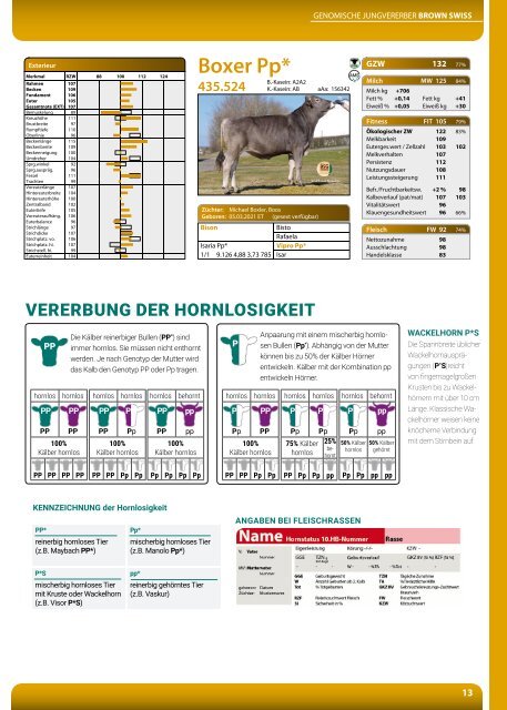 BSG Greifenberg Hornloskatalog 2024