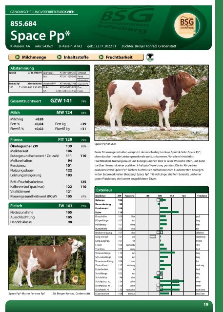 BSG Greifenberg Hornloskatalog 2024