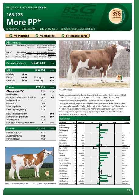 BSG Greifenberg Hornloskatalog 2024