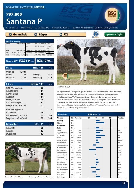 BSG Greifenberg Hornloskatalog 2024